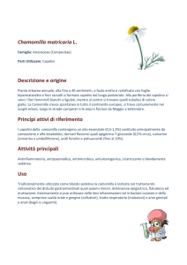 Chamomilla matricaria L. Descrizione e origine Principi
