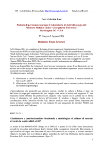 Relazione attivit? scientifica all`estero 2004