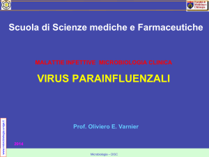 virus parainfluenzali - Sezione di Microbiologia