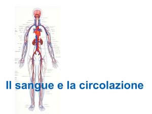 Diapositiva 1 - Istituto Ven. A. Luzzago