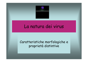 La natura dei virus