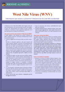 West Nile Virus (WNV) - Comune di Castelfranco Veneto