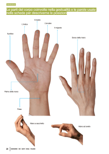 Le parti del corpo coinvolte nella gestualità e le parole usate nelle