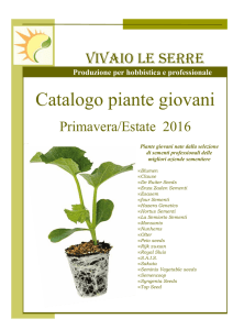 Catalogo Primavera_Estate 2016