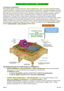 FISIOLOGIA VEGETALE + GLOSSARIO