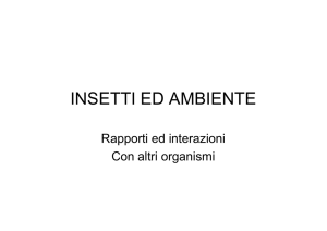 Insetti e ambiente - Istituto Serpieri Bologna