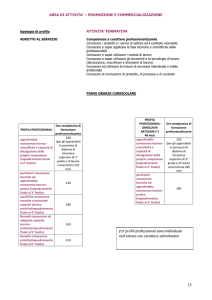 Area di Attività Promozione e Commercializzazione