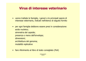 Virus di interesse veterinario