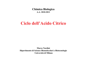 Ciclo_acido_citrico - Web server per gli utenti dell`Università degli