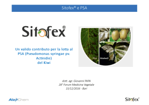 Sitofex® e PSA