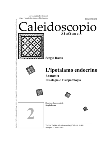 L`ipotalamo endocrino