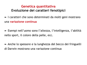 Genetica quantitativa Evoluzione dei caratteri fenotipici - e
