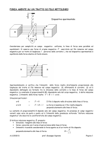 Pagina 1 FORZA AGENTE SU UN TRATTO DI FILO RETTILINEO о