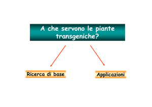 genetica tradizionale - Università degli Studi di Roma "Tor Vergata"