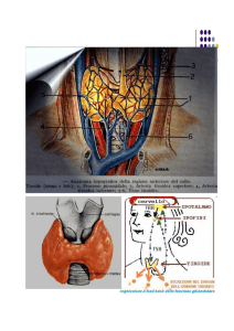 scintigrafia tiroidea - Università degli Studi di Messina