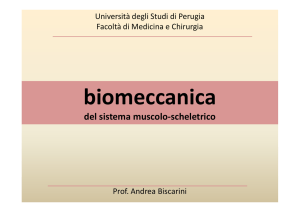 F - Università degli Studi di Perugia