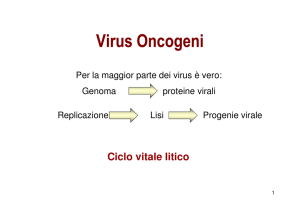 (Microsoft PowerPoint - Virus Oncogeni [modalit\340 compatibilit\340])