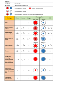 tabella grafica.xlsx