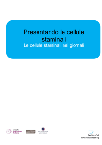 Attività per studenti di 11-14 anni