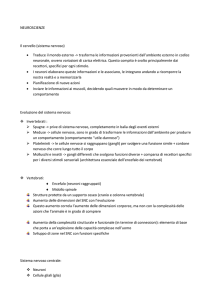 appunti neuroscienze