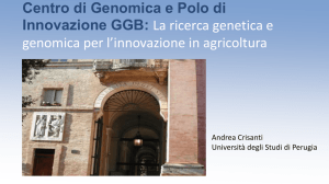 Amministratore Delegato, Polo d`innovazione di genomica, genetica