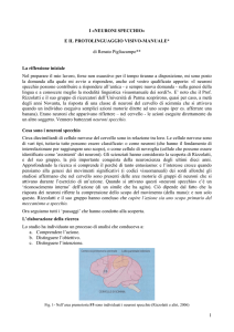 NEURONI SPECCHIO - Renato Pigliacampo