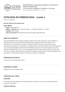 Apri in formato Pdf