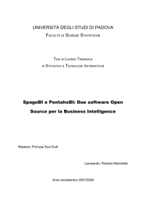 UNIVERSITÀ DEGLI STUDI DI PADOVA SpagoBI e PentahoBI: Due
