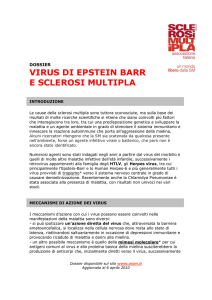 VIRUS DI EPSTEIN BARR E SCLEROSI MULTIPLA