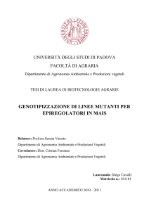 TESI Finale 1