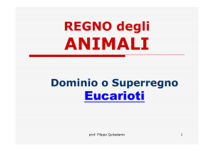 REGNO degli ANIMALI - IC San Giovanni Bosco