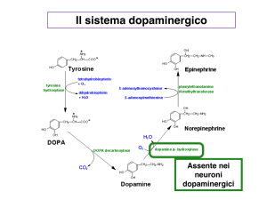 dopamina File