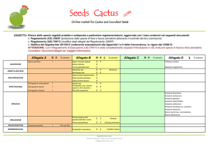 Seeds Cactus Seeds Cactus Seeds Cactus