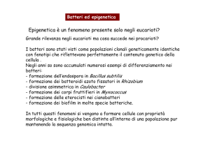 Bacterial epigenetics - e