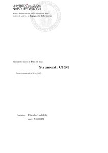 Strumenti CRM - Ingegneria Informatica