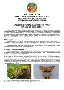 Opuscolo Paysandisia - Agricoltura