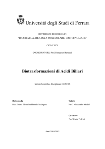 Biotrasformazioni di Acidi Biliari