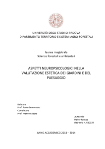 ASPETTI NEUROPSICOLOGICI NELLA VALUTAZIONE ESTETICA