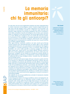 La memoria immunitaria: chi fa gli anticorpi?
