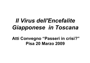 Il Virus dell`Encefalite Giapponese