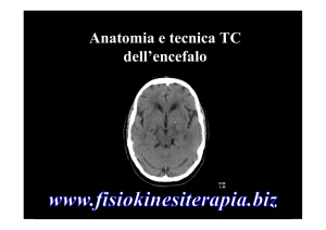 Anatomia e tecnica TC dell`encefalo