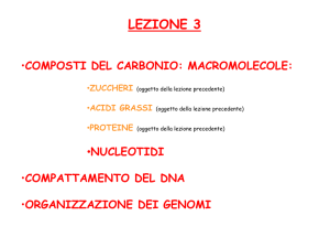 Presentazione di PowerPoint