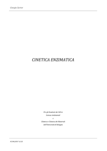 CINETICA ENZIMATICA