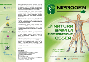 Brochure Niprogen