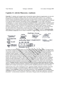 VII - Geologia 2000