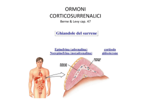 13. La corticale del surrene e i corticosteroidi File