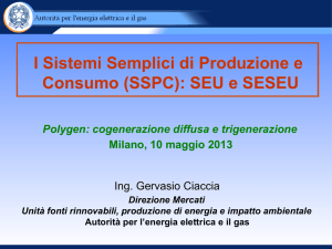 I Sistemi Semplici di Produzione e Consumo (SSPC)