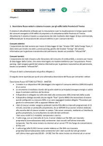 Allegato 1 1. Descrizione flusso vettori e sistema in essere per gli