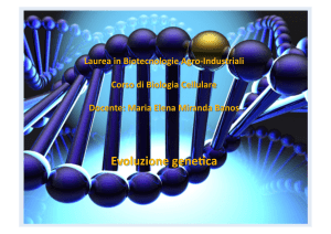 2014.23.evoluzione genetica - Dipartimento di Biologia e