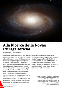 Alla Ricerca delle Novae Extragalattiche